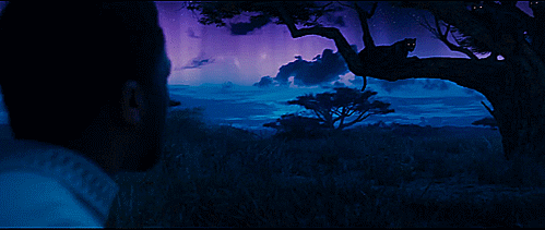 black-panther-spirit-plane