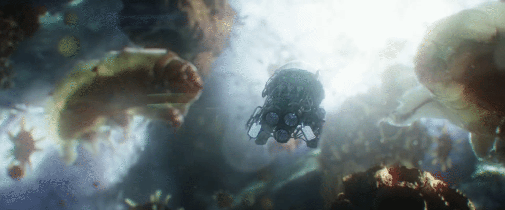 GeneralSadAfricanfisheagle-max-14mb