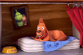 tumblr_p5a8dvox8L1qhjdd8o5_400