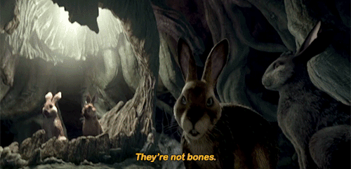 tumblr_pk5void3j11us57u5o3_500