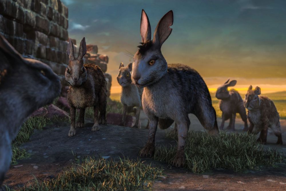 watershipdown_firstlook05.0